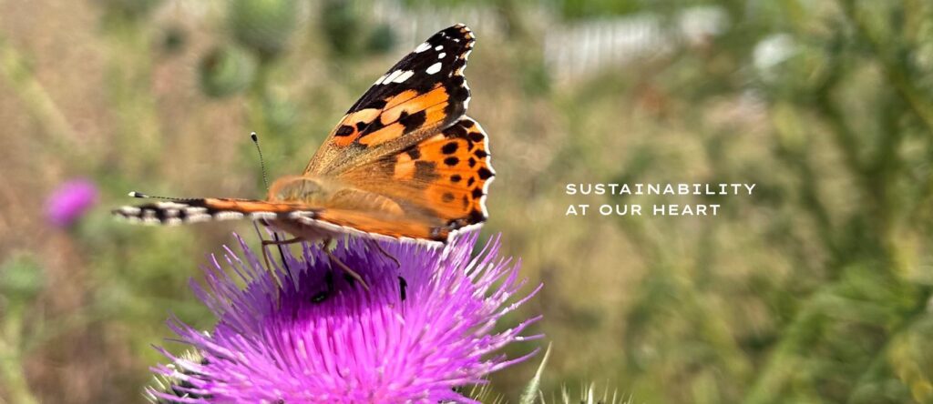 Sustainability at Roebuck Estates