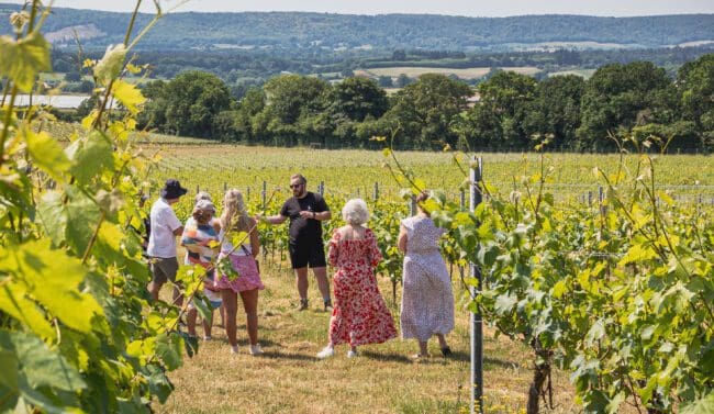 Tours & Tastings (10)