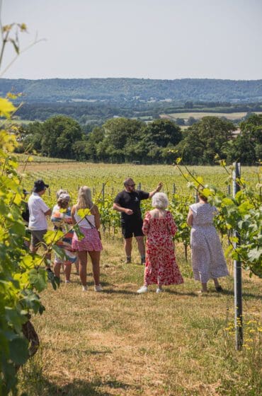 Tours & Tastings (11) guests at the Roebuck Wine Vineyard taking part in a tour