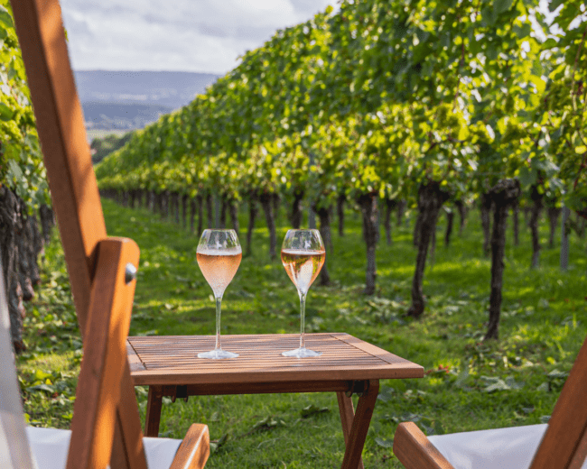 Untitled (1180 x 1350 px) (9)