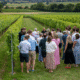 Vineyard Tour & Tasting 2027 - Thumbnail Image 2