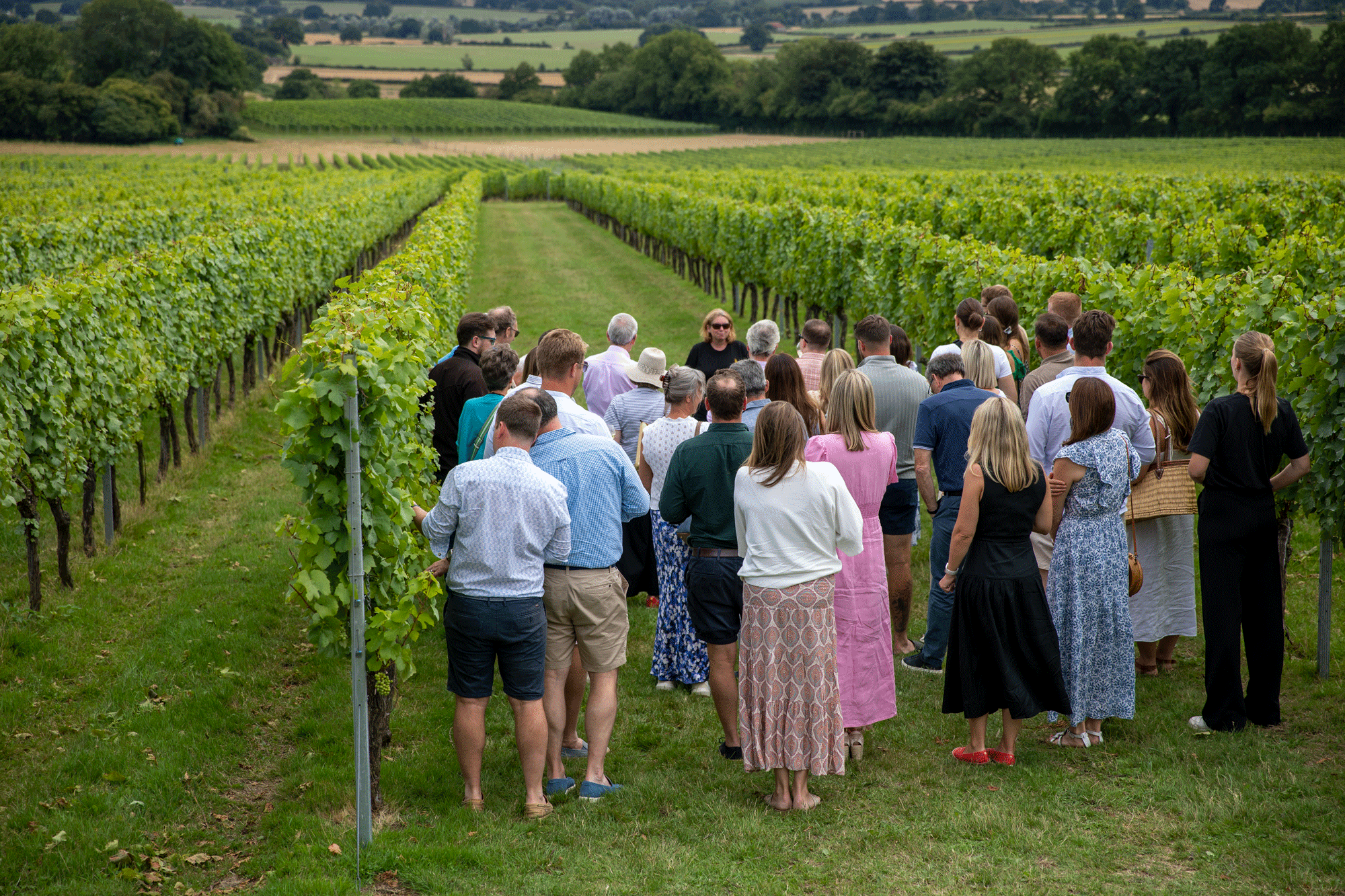 Vineyard Tour & Tasting 2027 - Image 2