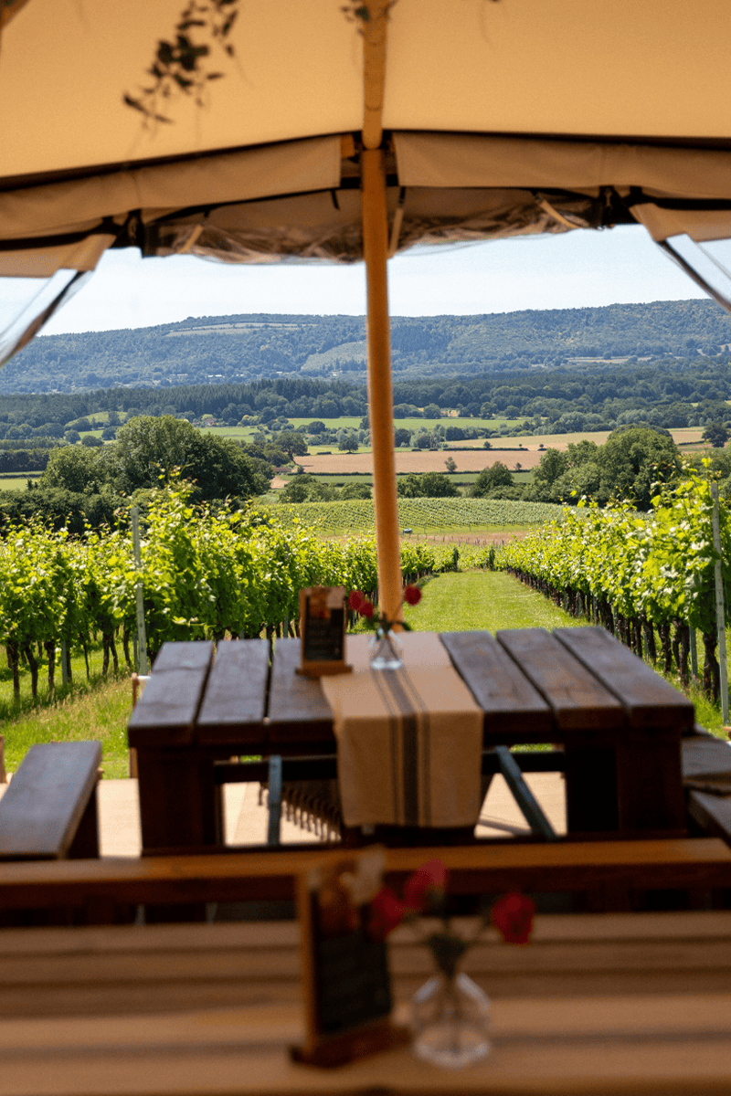 wine-bar-view